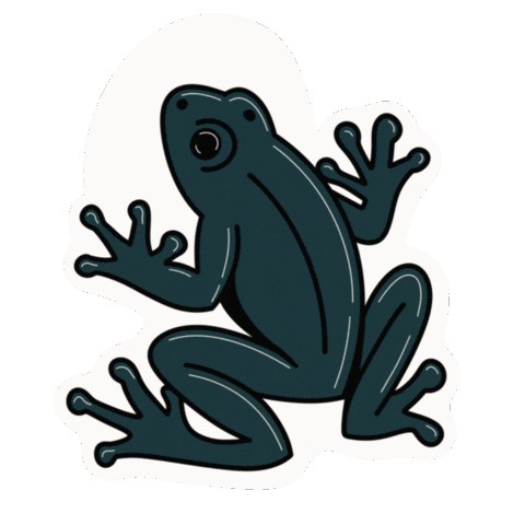 Puerto Rico Frog Sticker