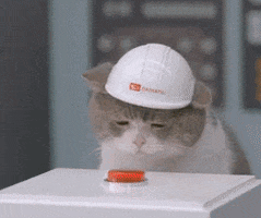 Cat Working GIF by hamlet