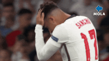 Disappointed Euro 2020 GIF by MolaTV