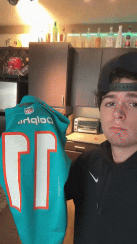 Dolphins Trash GIF
