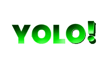 Yolo Sticker