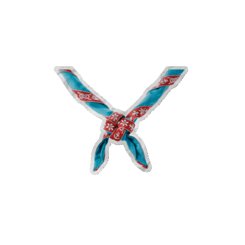Scout Sticker by Junák - český skaut