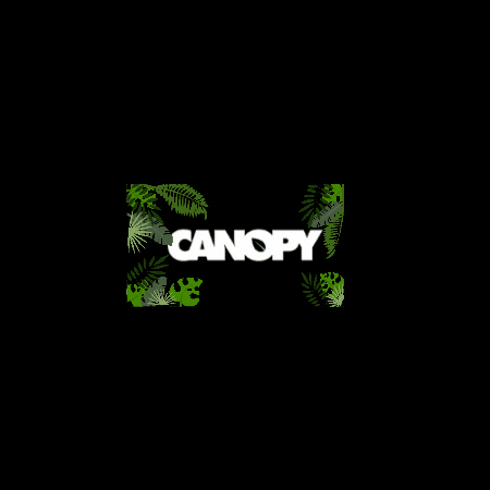 Canopy GIF by Afterwork Seoul