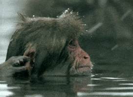 Hot Springs Water GIF