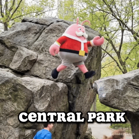 Central Park GIF by LobsterClaus