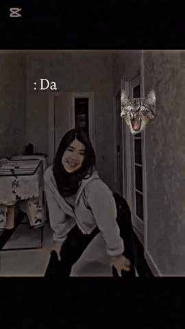 Reaction GIF
