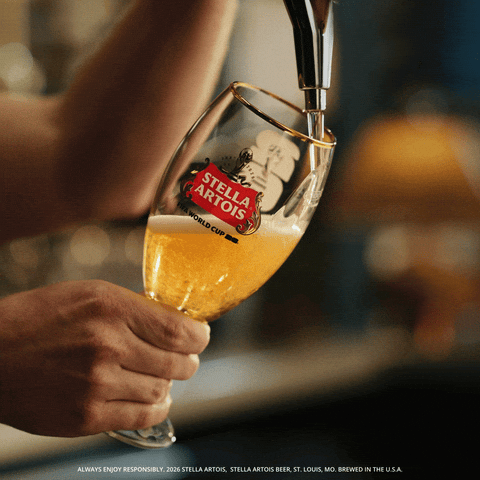 World Cup Soccer GIF by Stella Artois