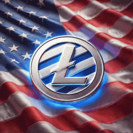 Ltcspin GIF by Litecoin