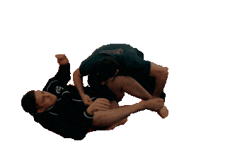 Ahjo Training Center Sticker