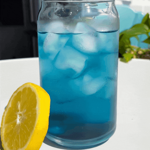 Blueberry Butterfly Tea GIF