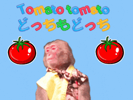 Tomato Tomato Fun GIF