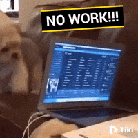 Dog Bye Gifs Get The Best Gif On Giphy Dog Bye Gifs Get The Best Gif On Giphy