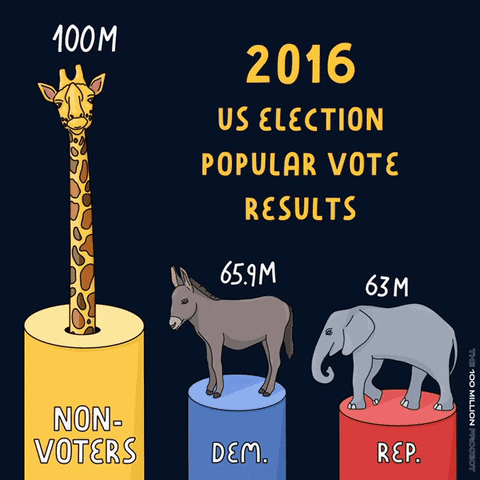 Voting Election Day GIF by Knight Foundation