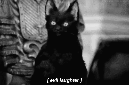 giphy.gif?cid=19f5b51a8fd971d751b6d4adb09384b8bba78ef9ccd8e7c6&rid=giphy.gif