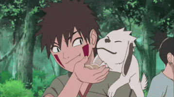 Kiba Inuzuka GIF