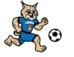 Lets Go Soccer Sticker by carrollcc