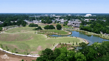 Moncus Park GIF