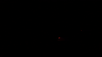 Love GIF by Sonnige Aussichten Reisebüro Siemon