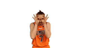 Basket Sweden Sticker by Umeå BSKT