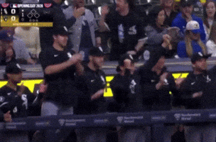 Home Run Baseball GIF