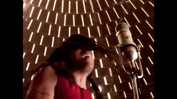Lenny Kravitz GIF