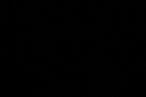 Black And White Gym GIF