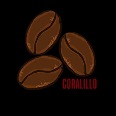 Cafe GIF by CERATO