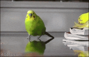 200.gif