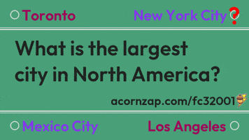 North America Nyc GIF by Collect Questions