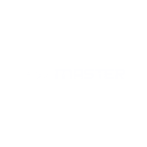 Master Hyundai Sticker