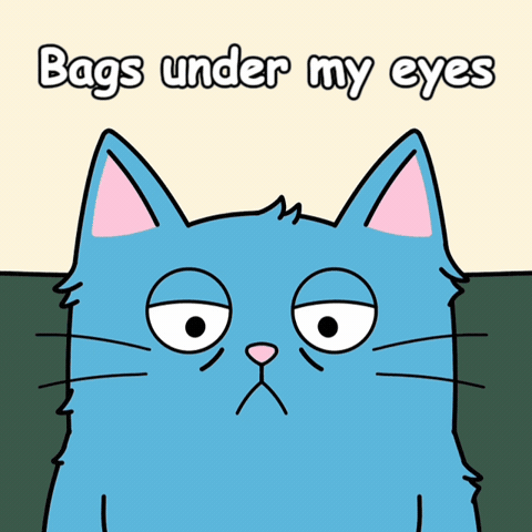 Blue Cat Insomnia GIF