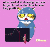 Oh No Cat GIF by Insomnia Cats