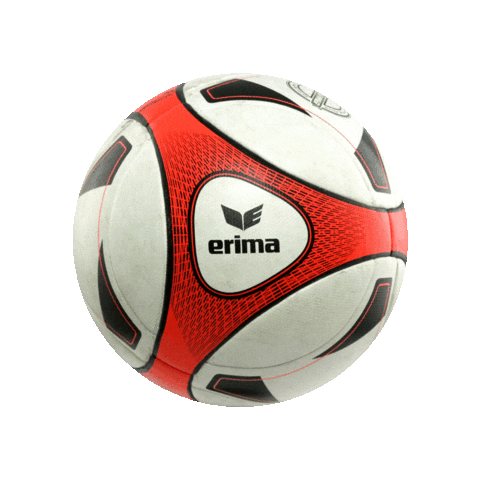 Soccer Ball Sticker by ball-one.de