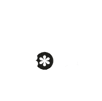 Musica Maceio Sticker by Festival Carambola