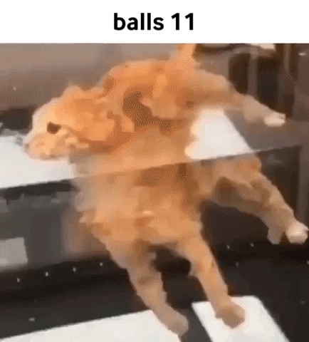 Balls 11 GIF