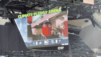Hockey Nhl GIF