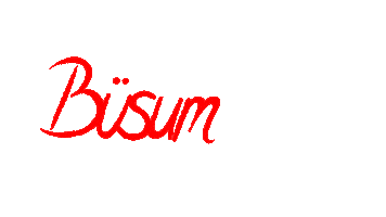 Sea Weiss Sticker by buesum_urlaub