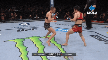 Knockout Fighting GIF by MolaTV