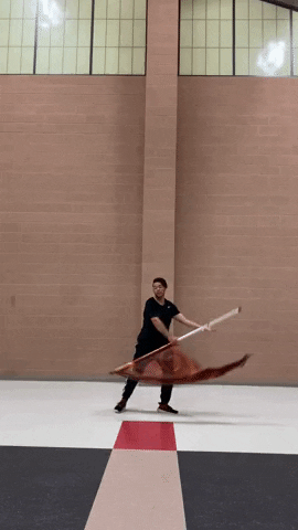 thatguywhospins flag spinning colorguard thatguywhospins GIF