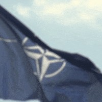 200.gif