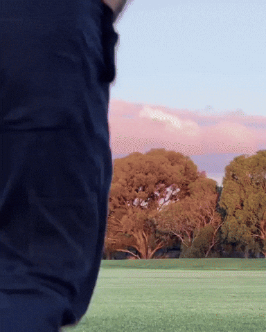 Flipping Mr Simple GIF