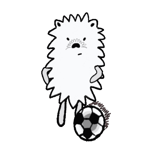 Football Soccer Sticker