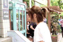 Hermitwaveslistener GIF