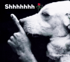 Doggo GIF