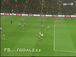 Ashevoo  GIF