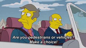Choose The Simpsons GIF by AniDom