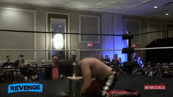 Revenge GIF