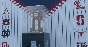 Texas Am Baseball GIF by NCAA Championships