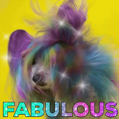 Uncanny Animals GIF