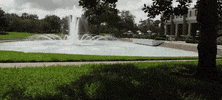 UCF Student Government GIF